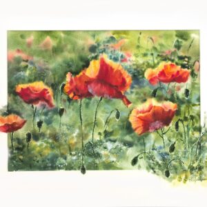 Sergey Kropovinskiy - Poppies against the sun